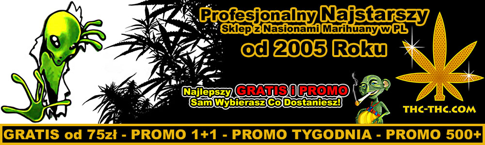 sklep z nasionami konopi